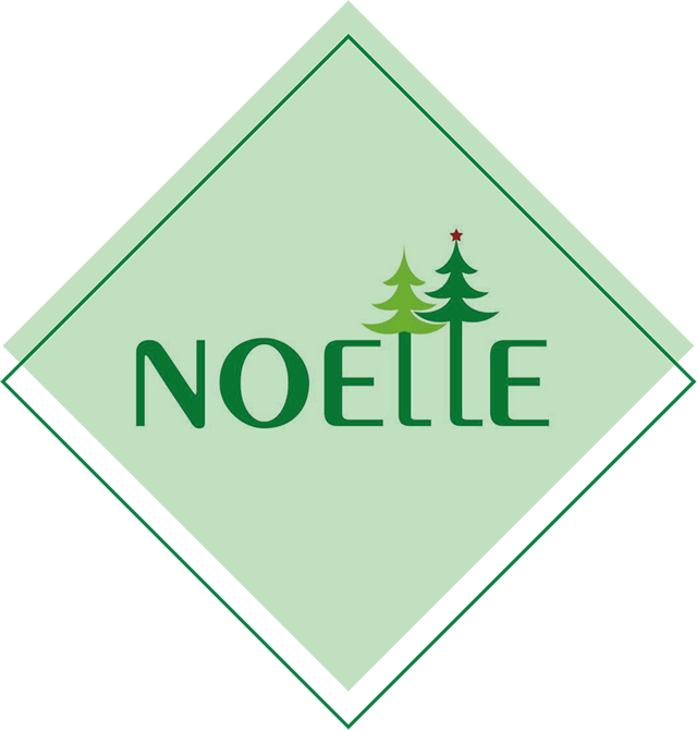Christmas Wholesaler NZ